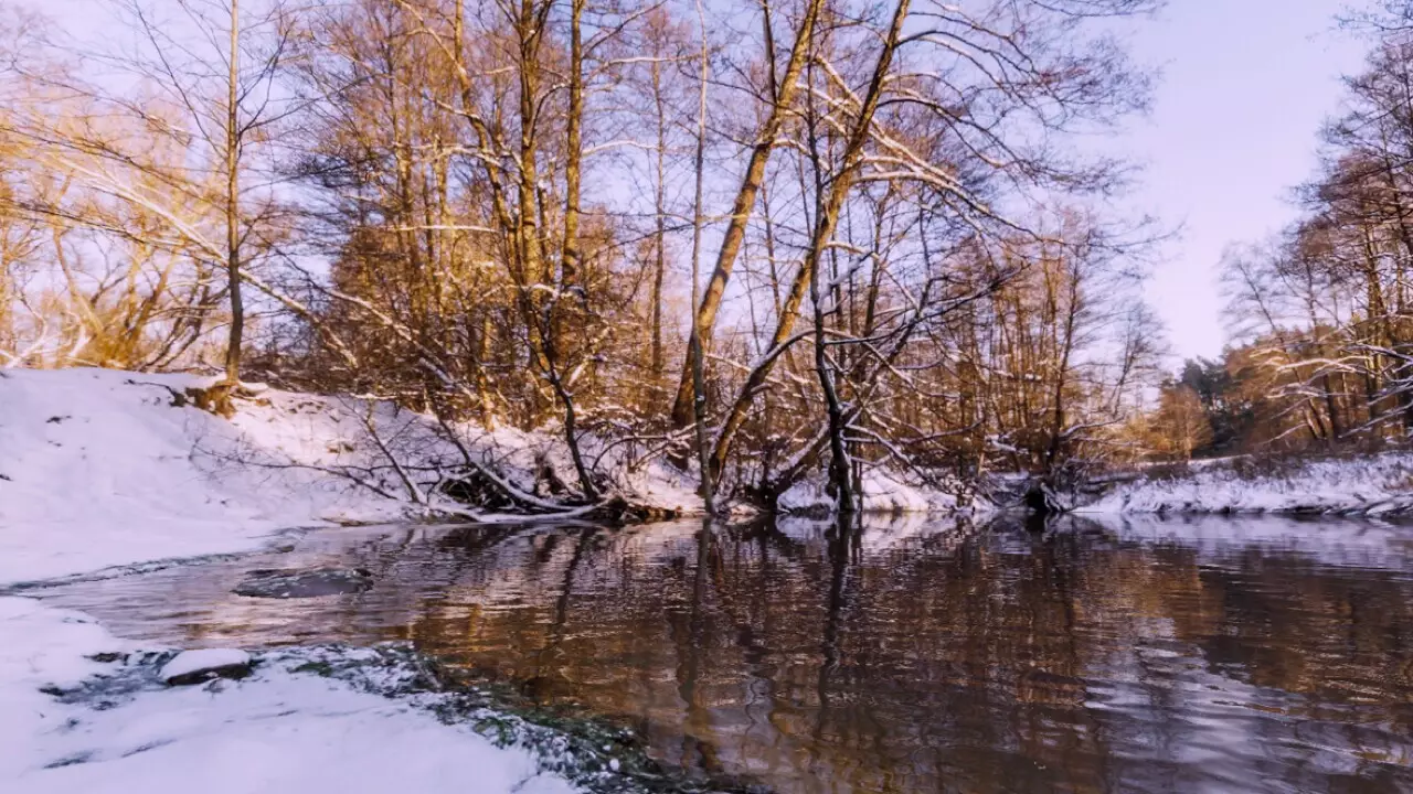 -AnglingTimes-游戏截图-好玩游戏库
