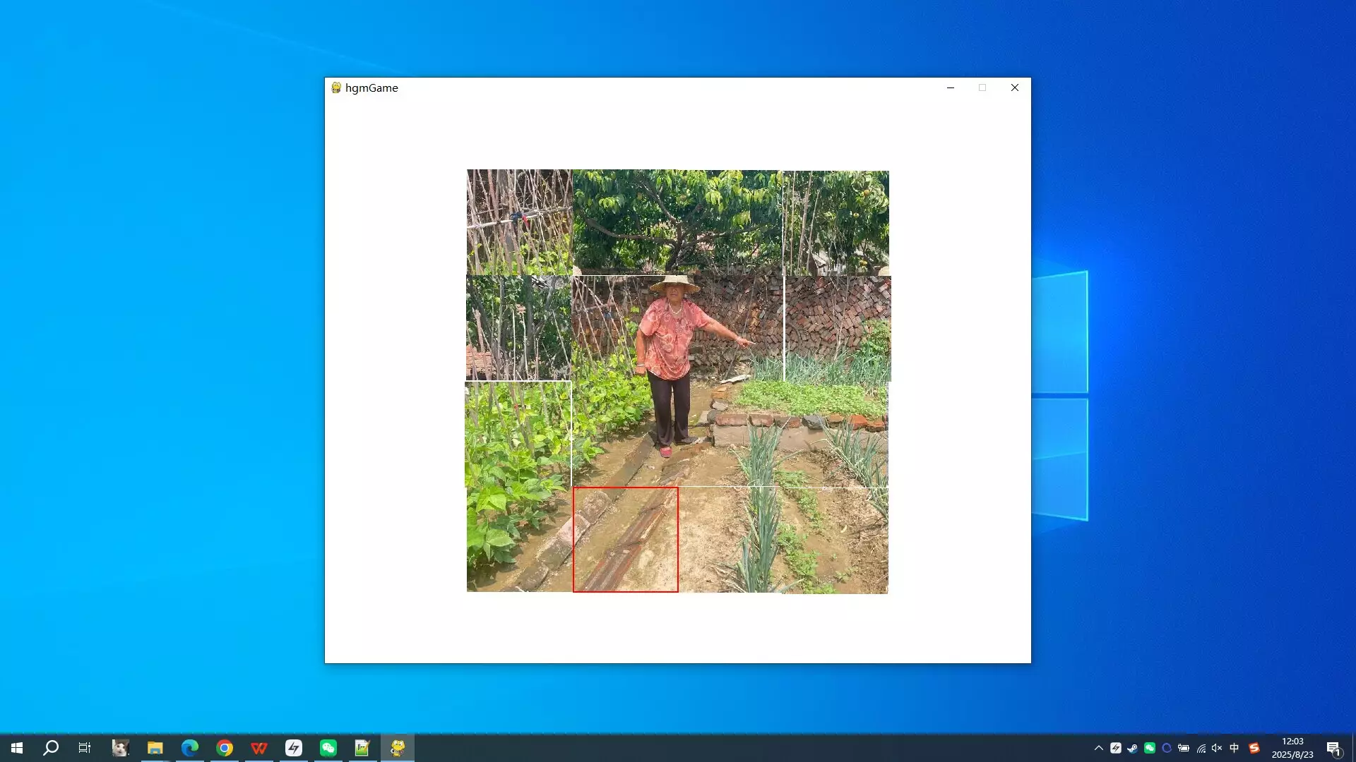 -奶奶的菜园子-游戏截图-好玩游戏库