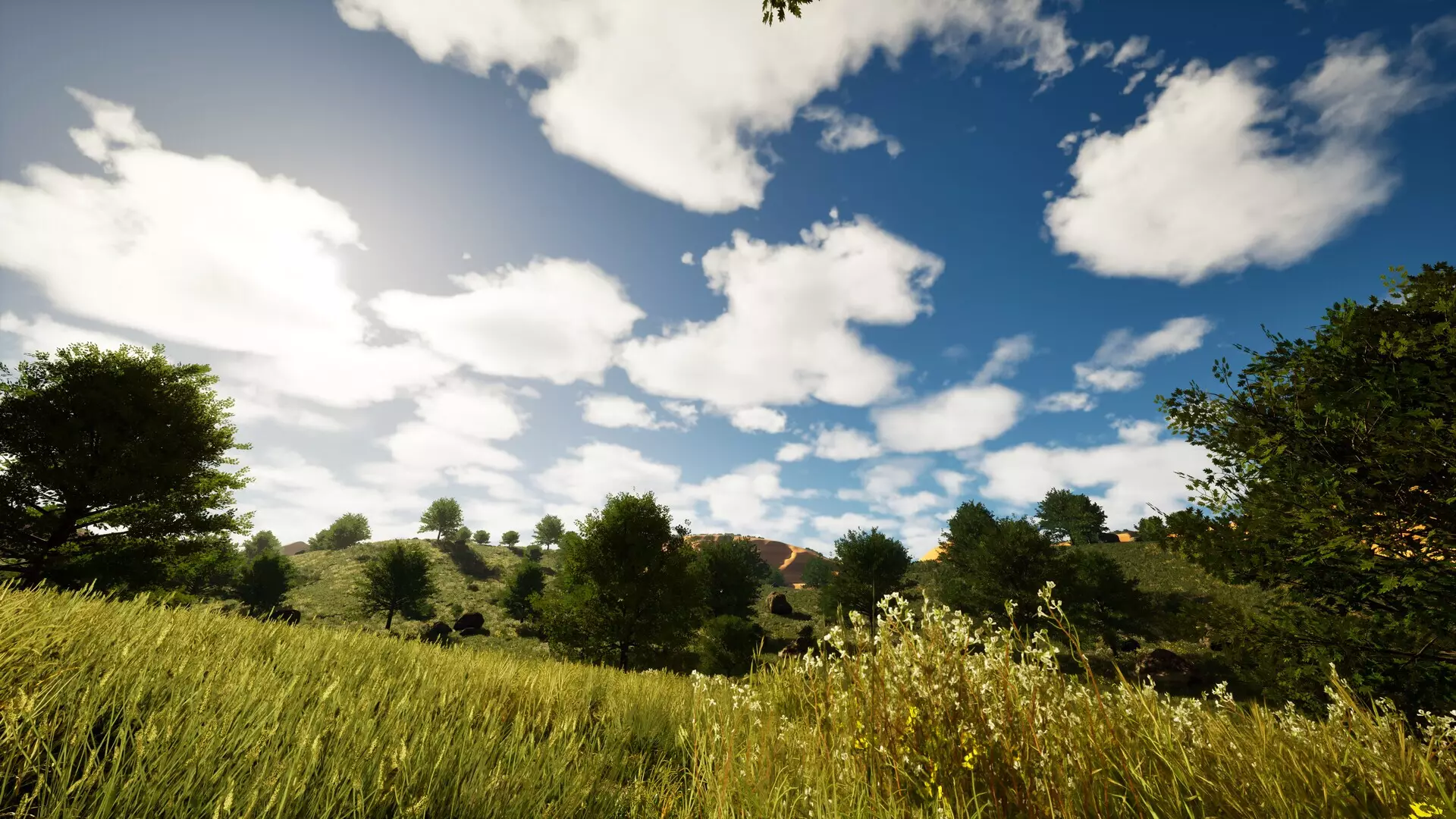 -Blank Canvas-游戏截图-好玩游戏库