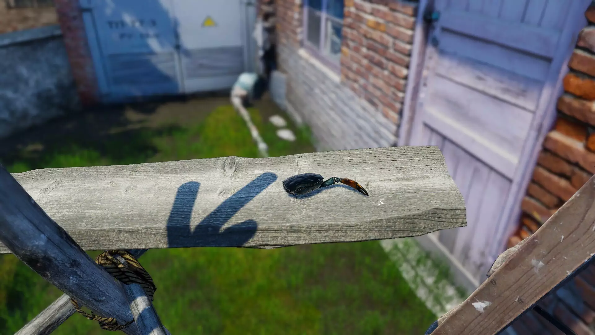 -Strong Crab-游戏截图-好玩游戏库