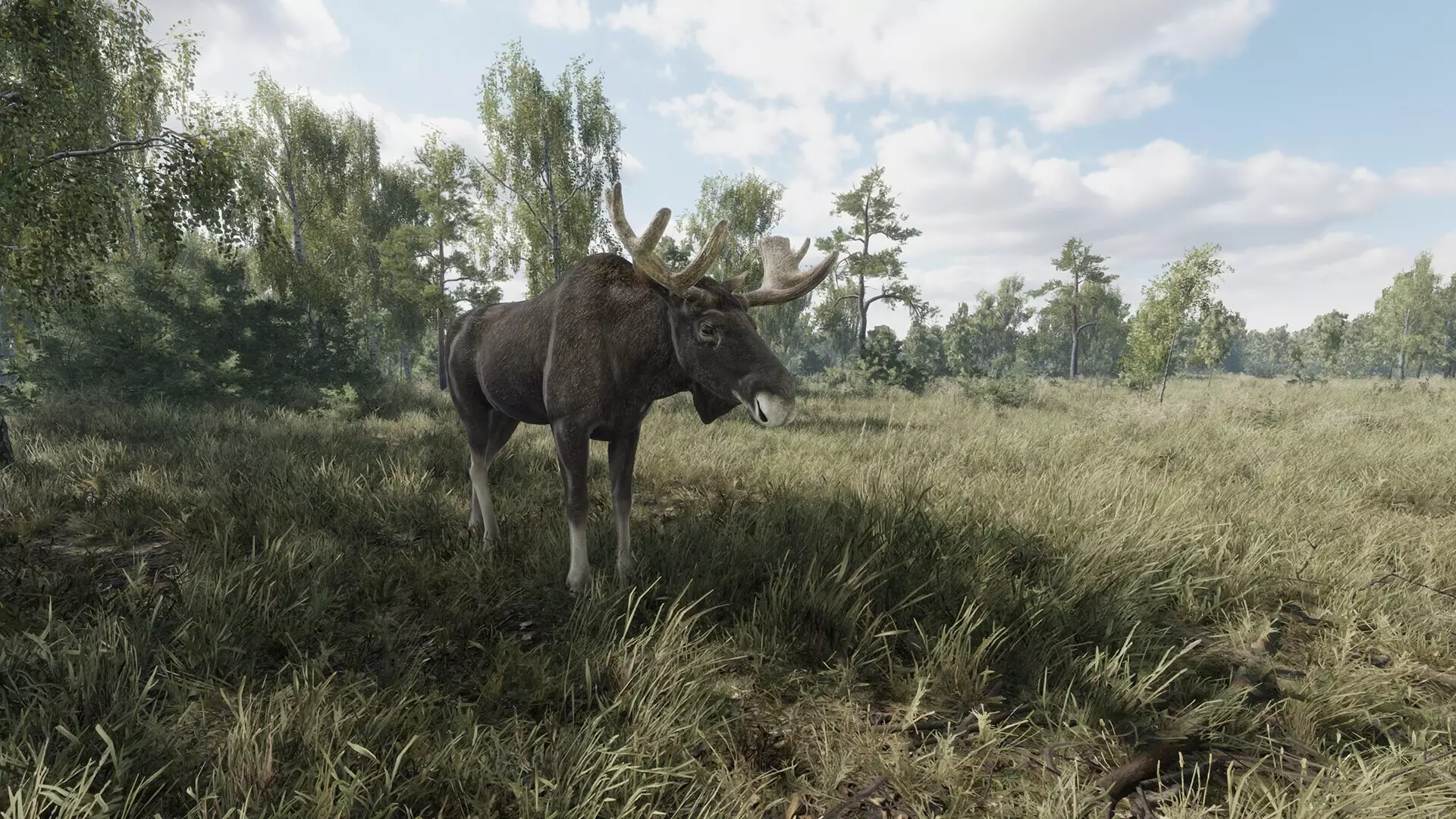 -On the Hunt-游戏截图-好玩游戏库