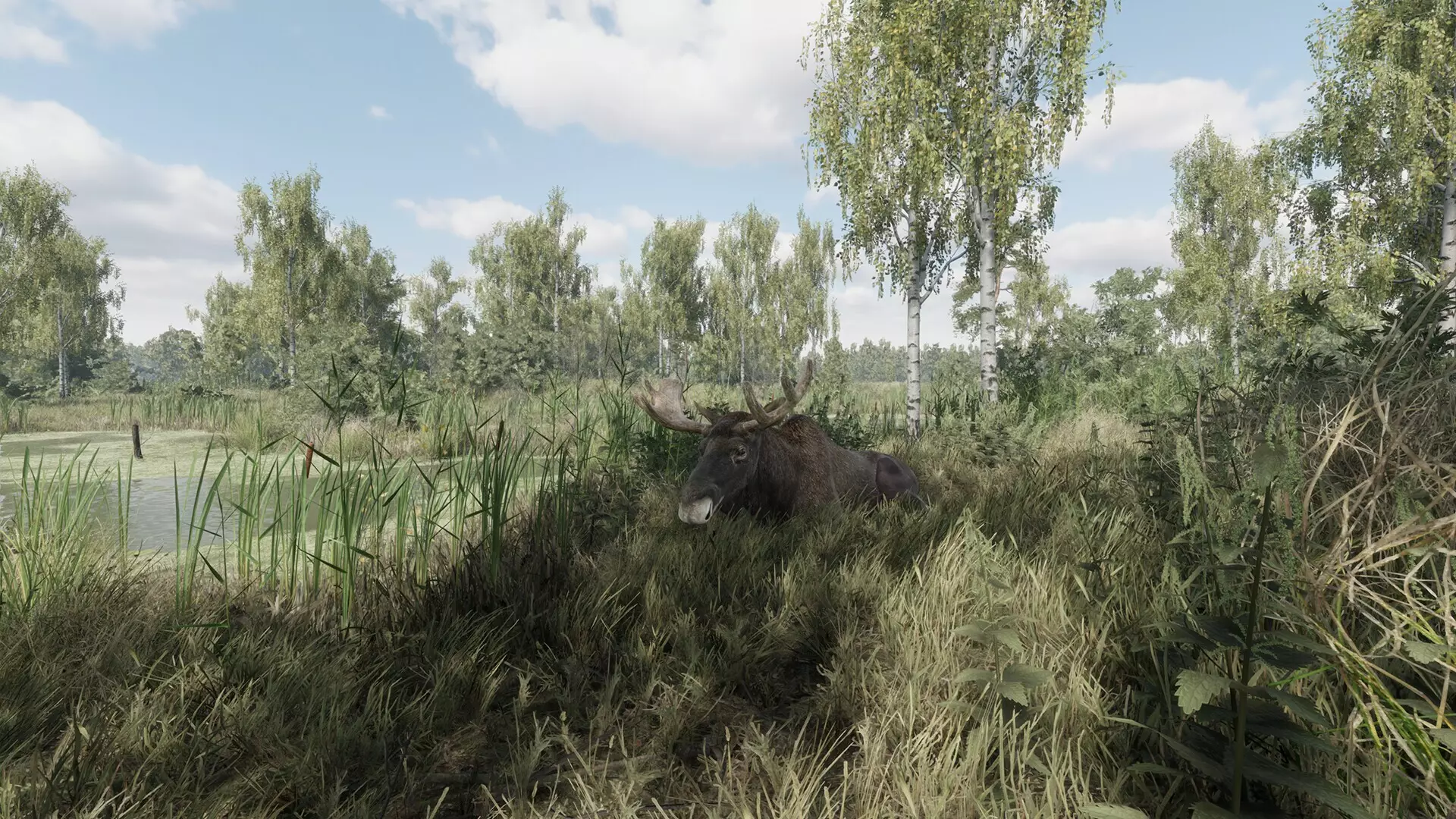 -On the Hunt-游戏截图-好玩游戏库