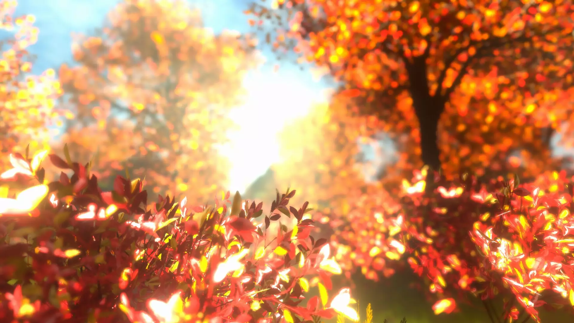 -紅葉の泣き声-游戏截图-好玩游戏库