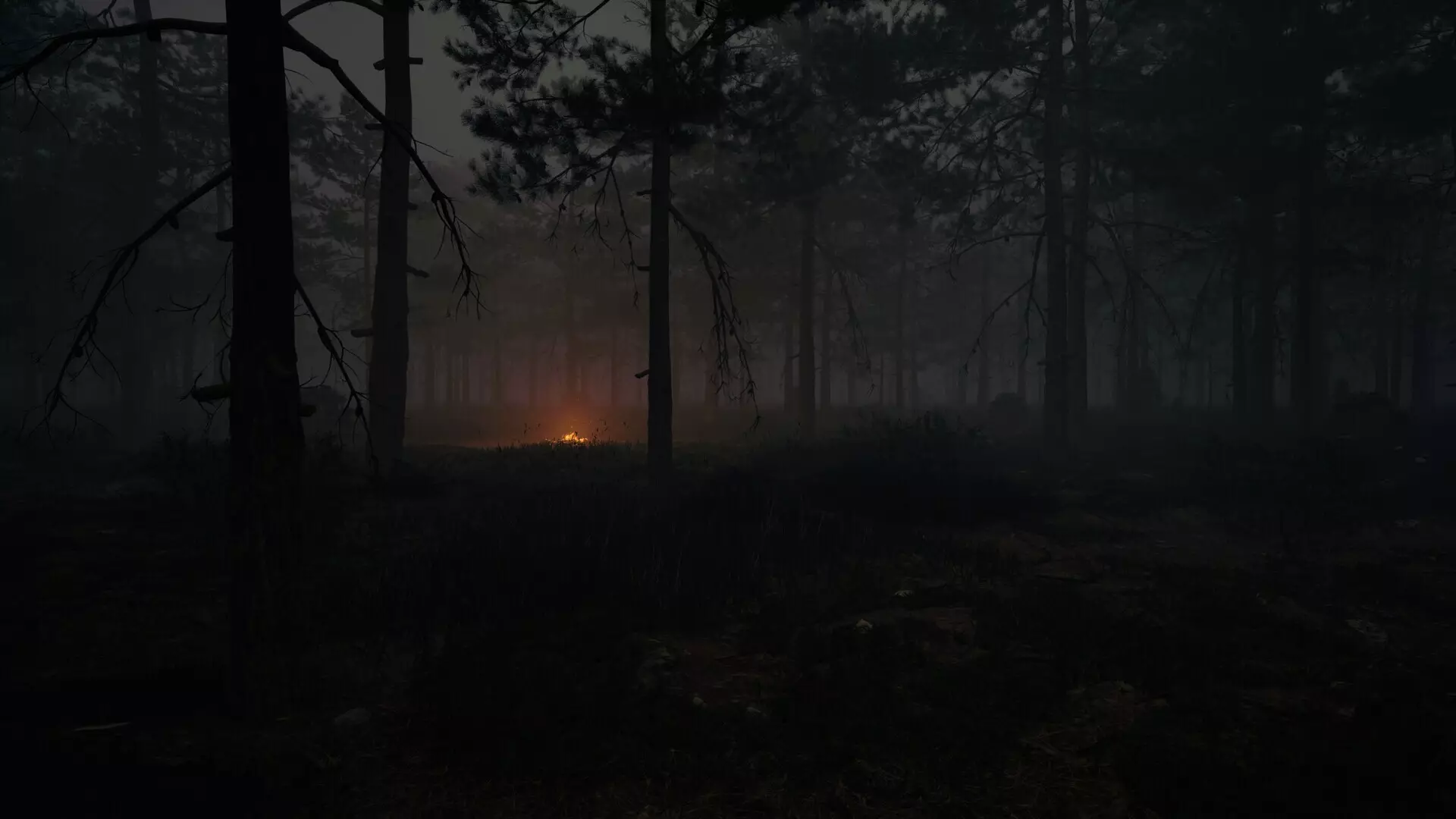 -Ardena-游戏截图-好玩游戏库