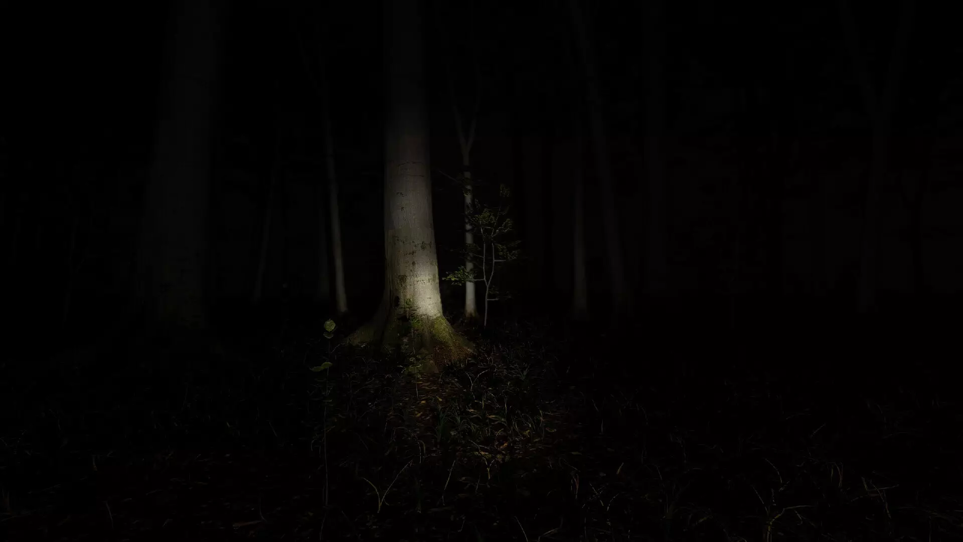 -Waldzweisamkeit-游戏截图-好玩游戏库