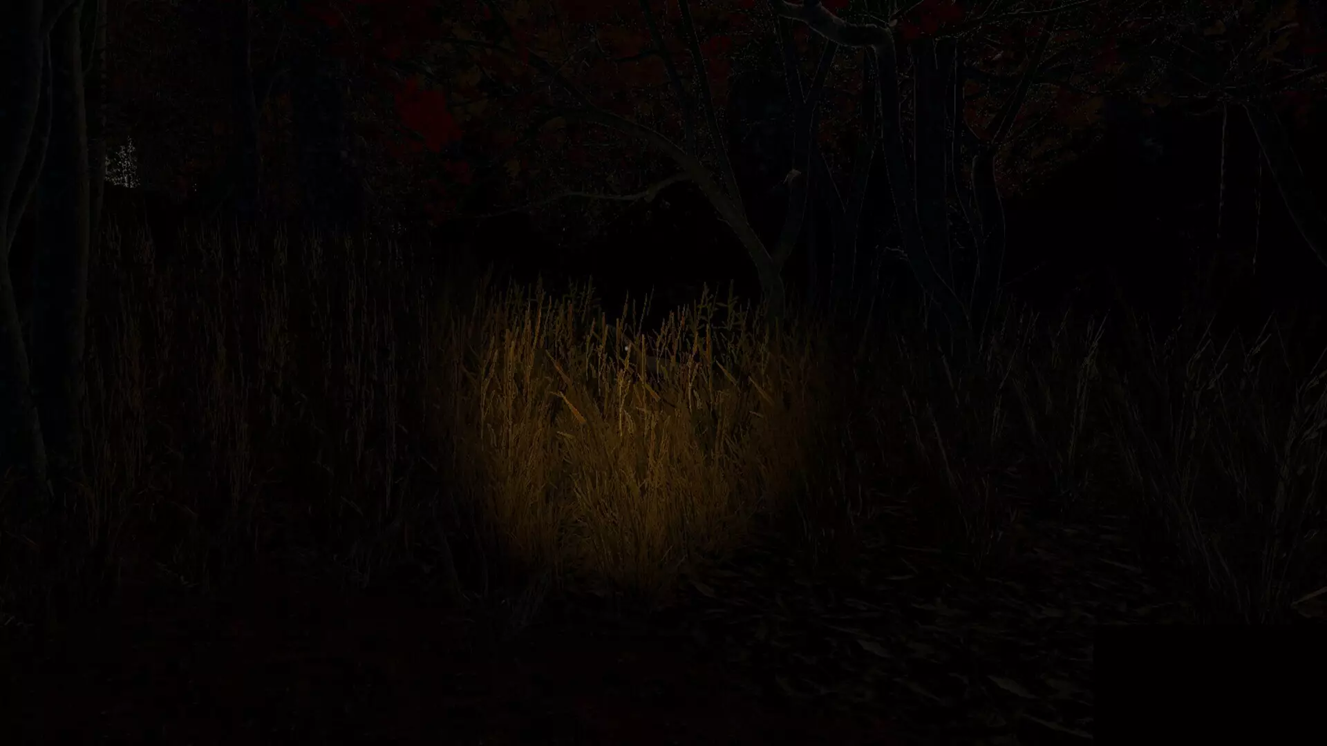 -Echoes of the Wind-游戏截图-好玩游戏库