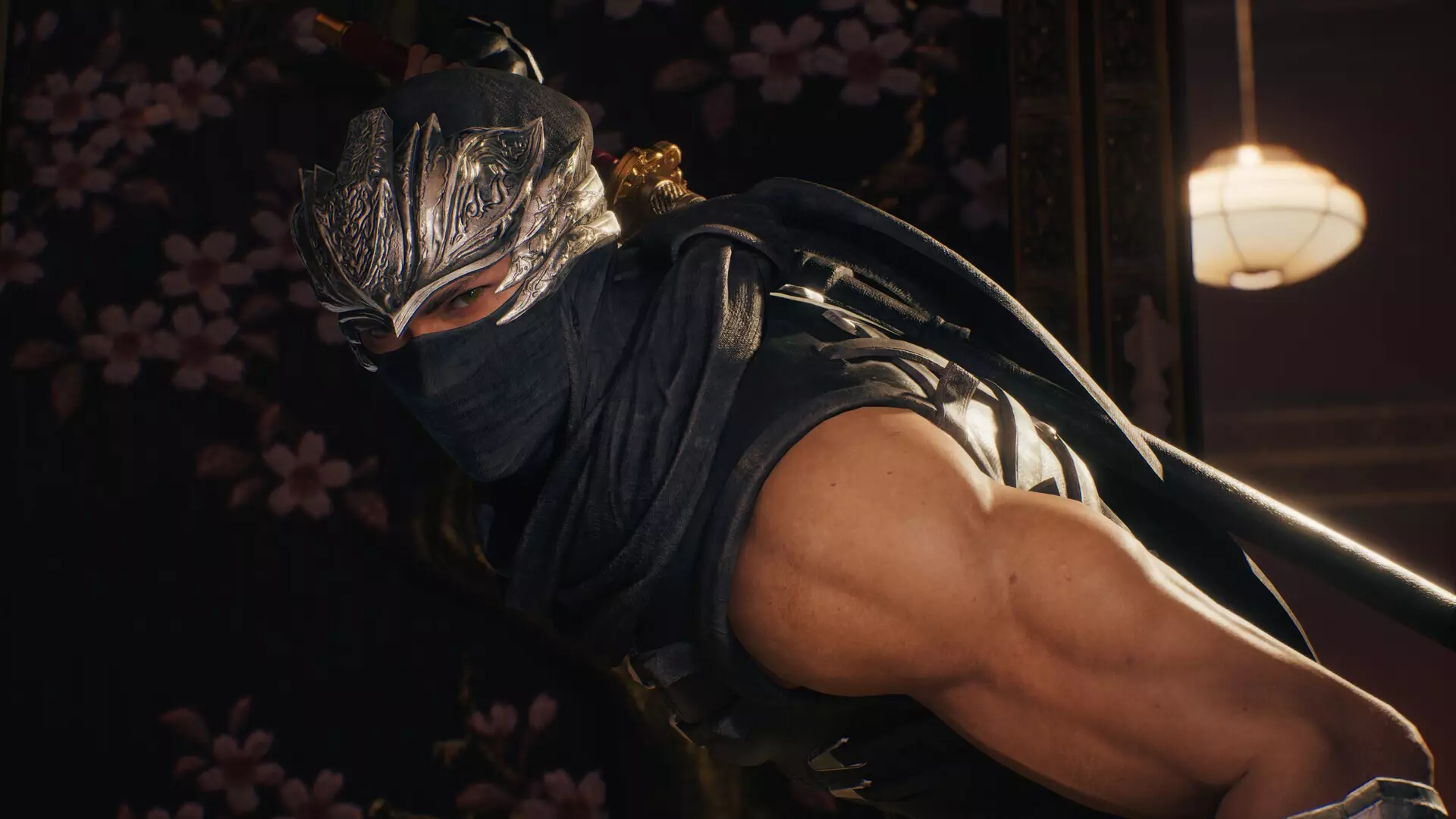 -Ninja Gaiden 2 Black-游戏截图-好玩游戏库