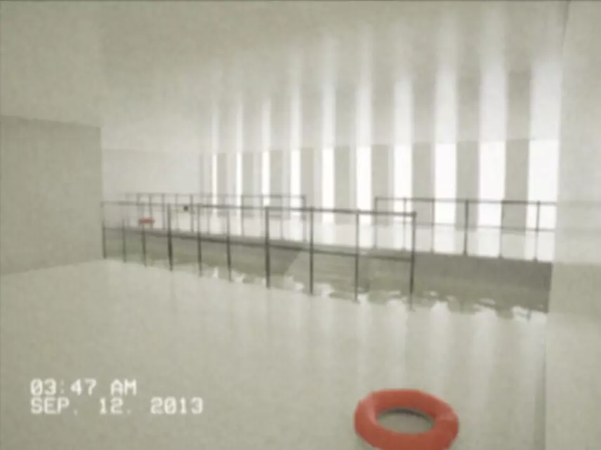 -The Solitude Project-游戏截图-好玩游戏库