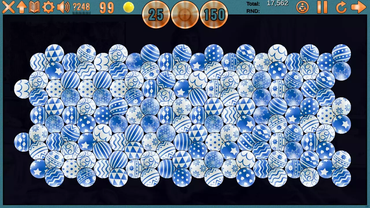 -Clutter 17: Flower Power - Collector's Edition-游戏截图-好玩游戏库