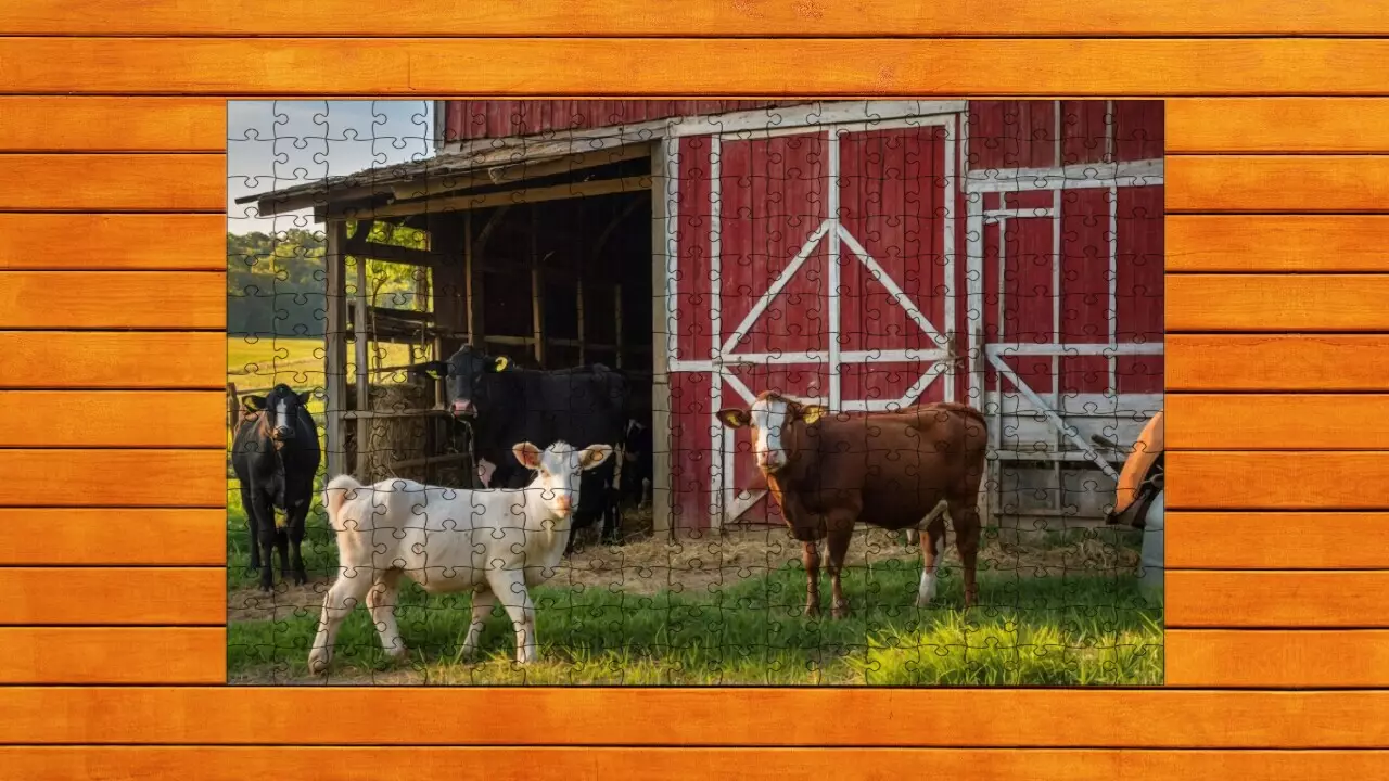 -Farmyard Pals Jigsaw Puzzles-游戏截图-好玩游戏库