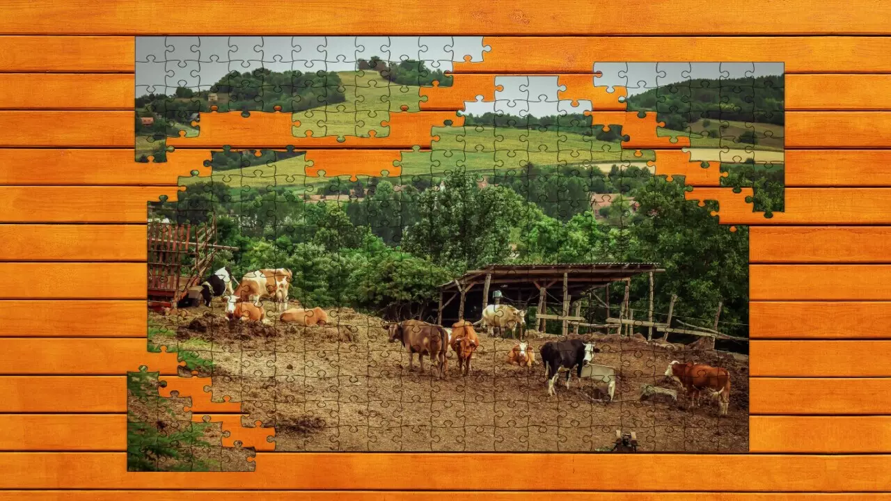 -Farmyard Pals Jigsaw Puzzles-游戏截图-好玩游戏库