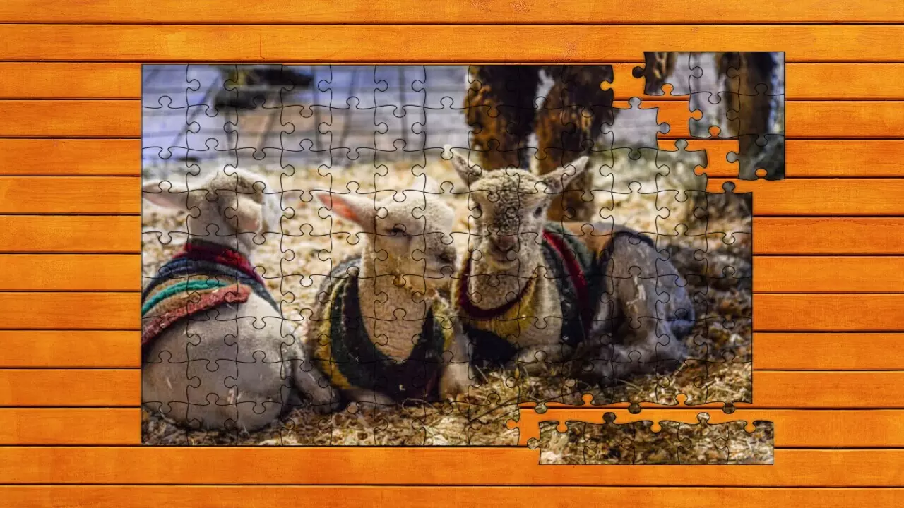 -Farmyard Pals Jigsaw Puzzles-游戏截图-好玩游戏库