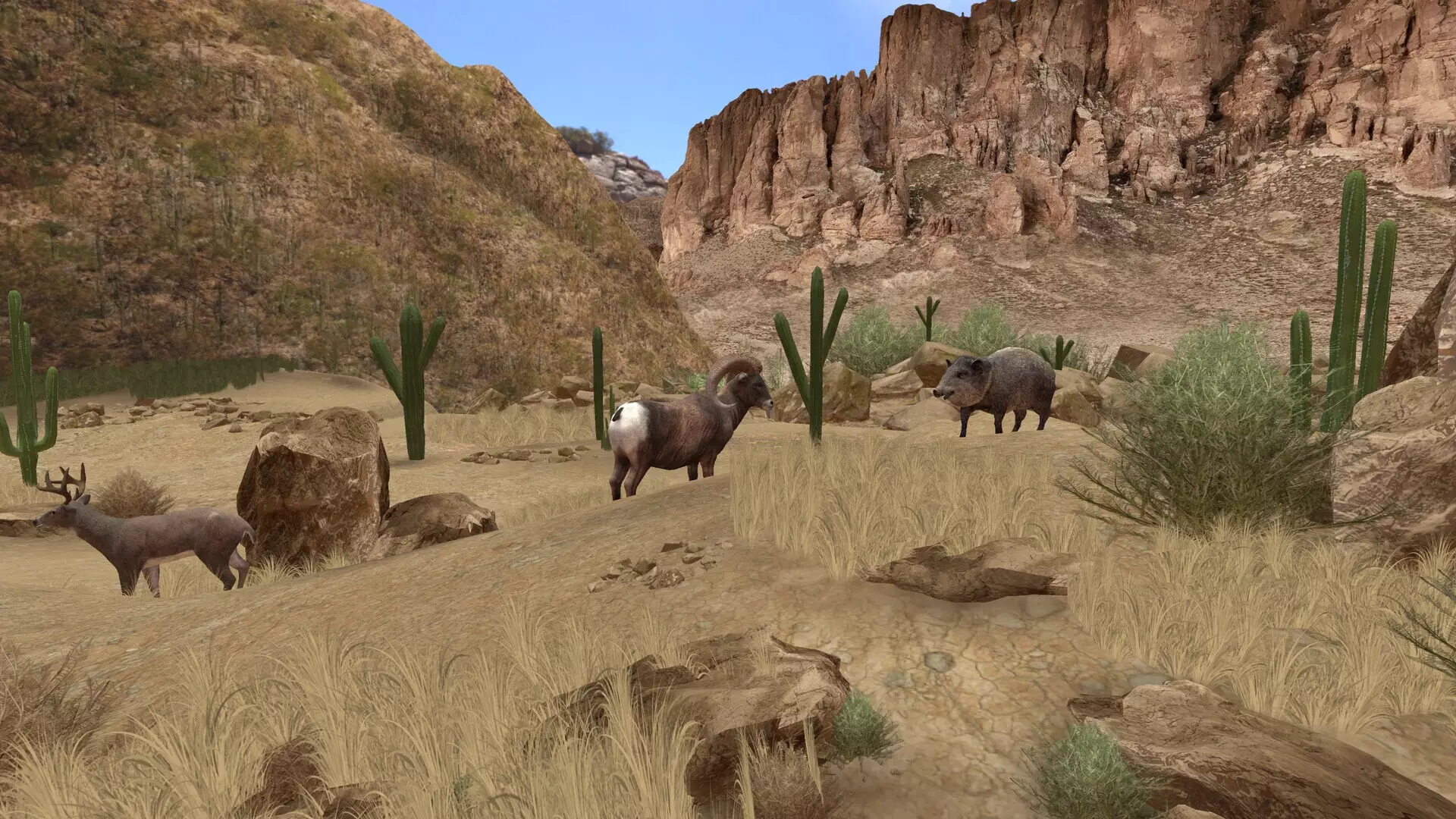 -AccuBow VR-游戏截图-好玩游戏库