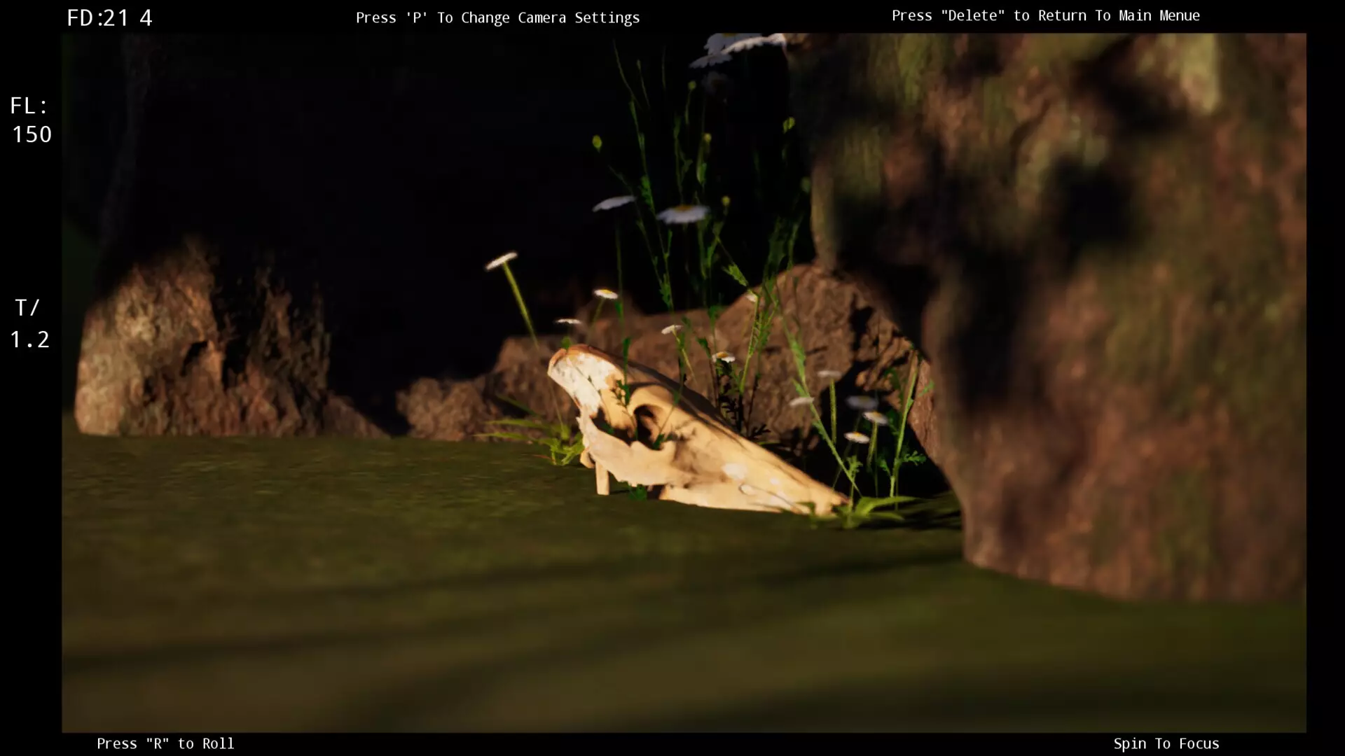 -Focus Simulator-游戏截图-好玩游戏库