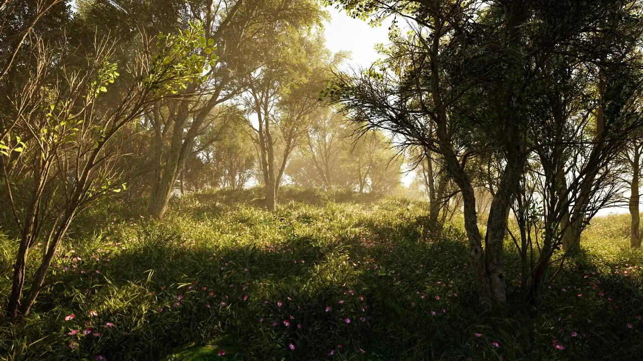 -Calming Forest-游戏截图-好玩游戏库