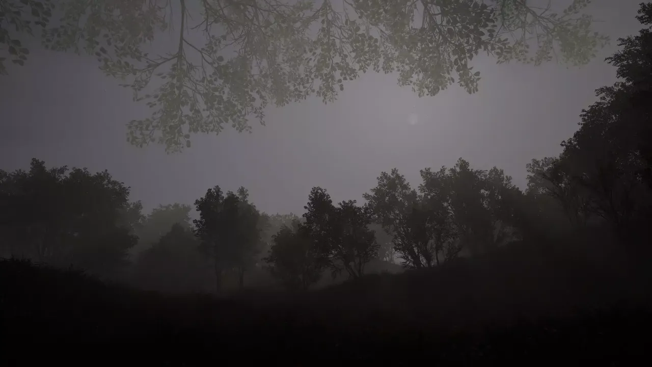 -Calming Forest-游戏截图-好玩游戏库