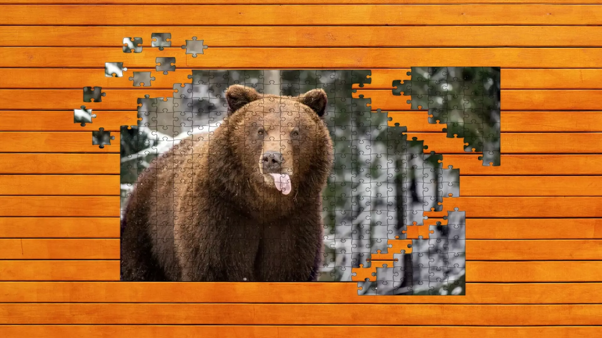 -Bear vs. Wolf Jigsaw Puzzle-游戏截图-好玩游戏库