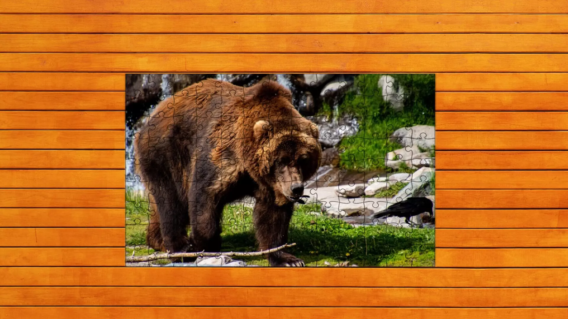 -Bear vs. Wolf Jigsaw Puzzle-游戏截图-好玩游戏库