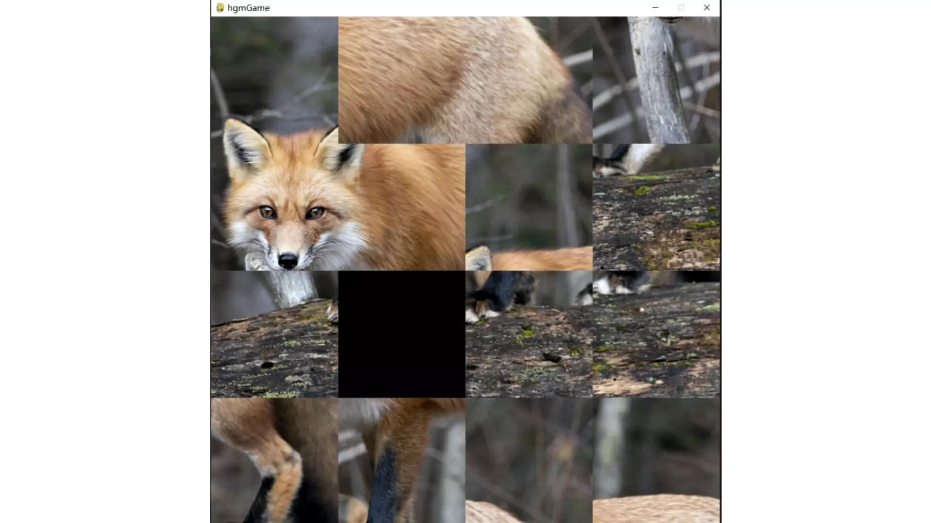 -hgmGame-fox-游戏截图-好玩游戏库