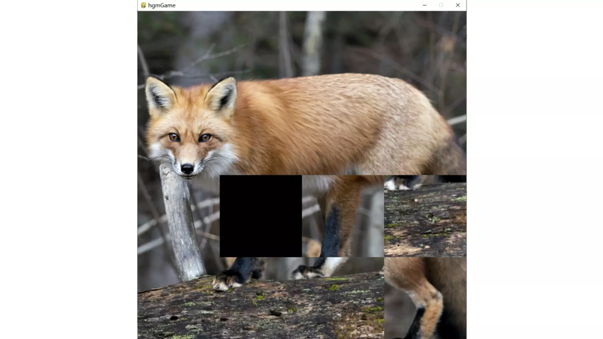 -hgmGame-fox-游戏截图-好玩游戏库