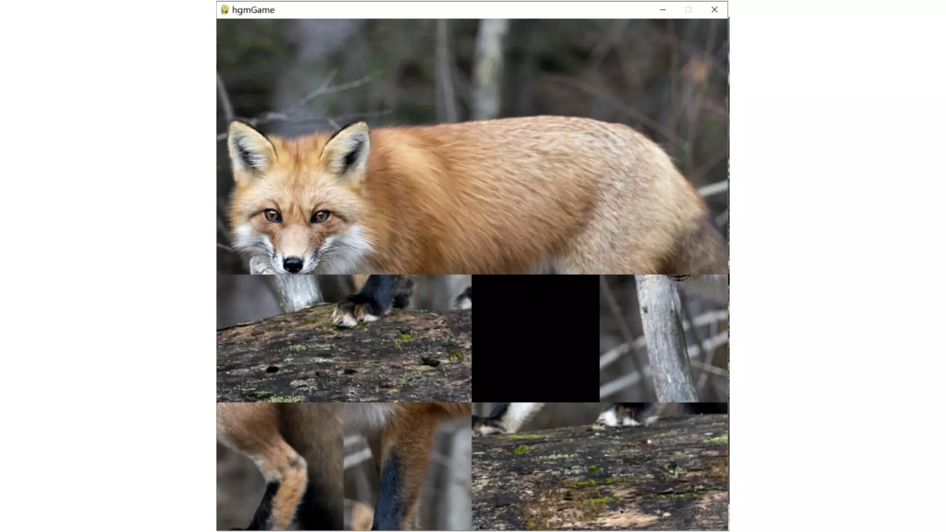 -hgmGame-fox-游戏截图-好玩游戏库