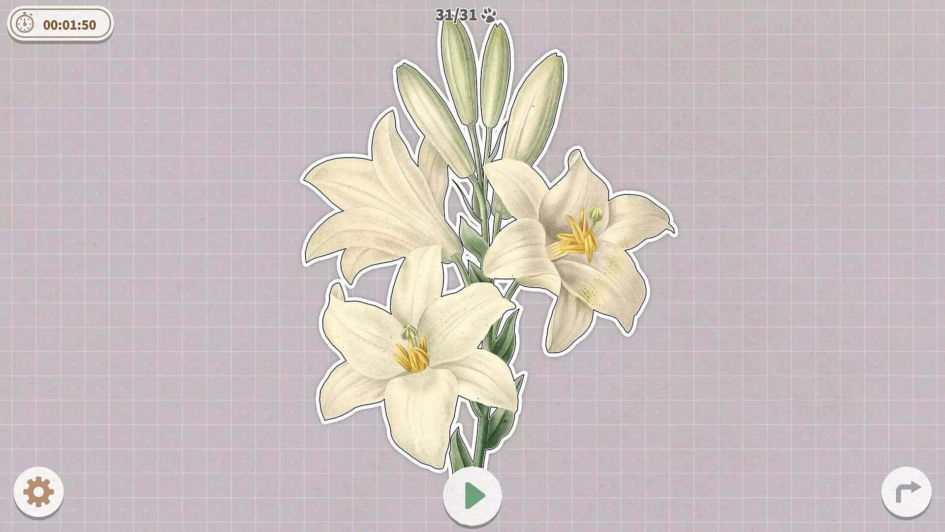 -Plants Huddled Together-游戏截图-好玩游戏库