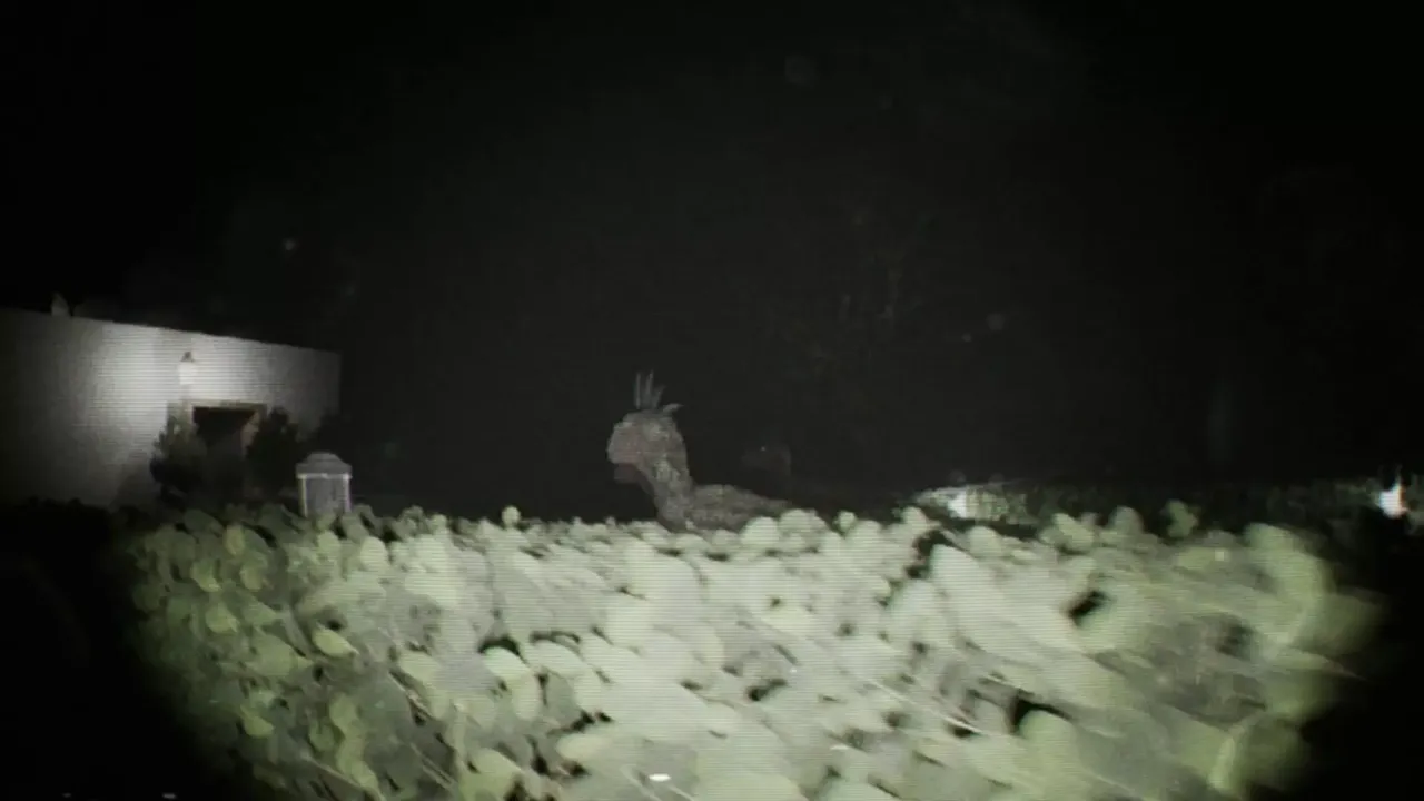 -Unknown Tapes-游戏截图-好玩游戏库