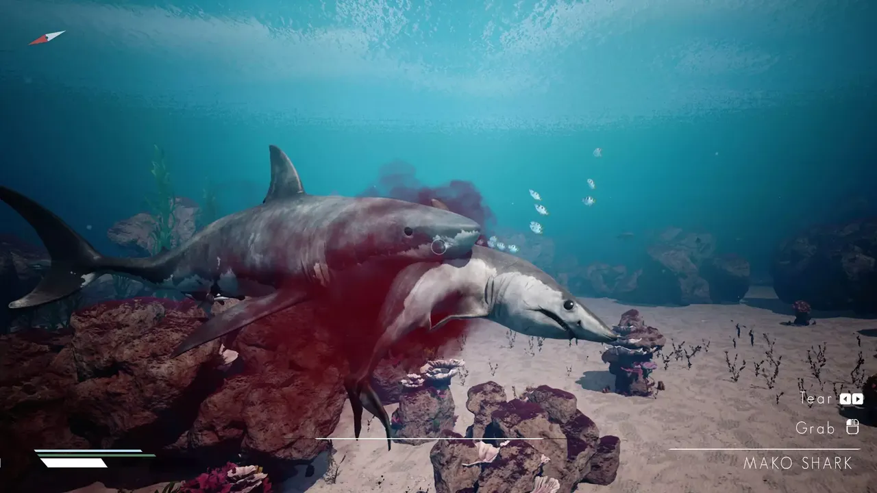 -Infinite Blue-游戏截图-好玩游戏库