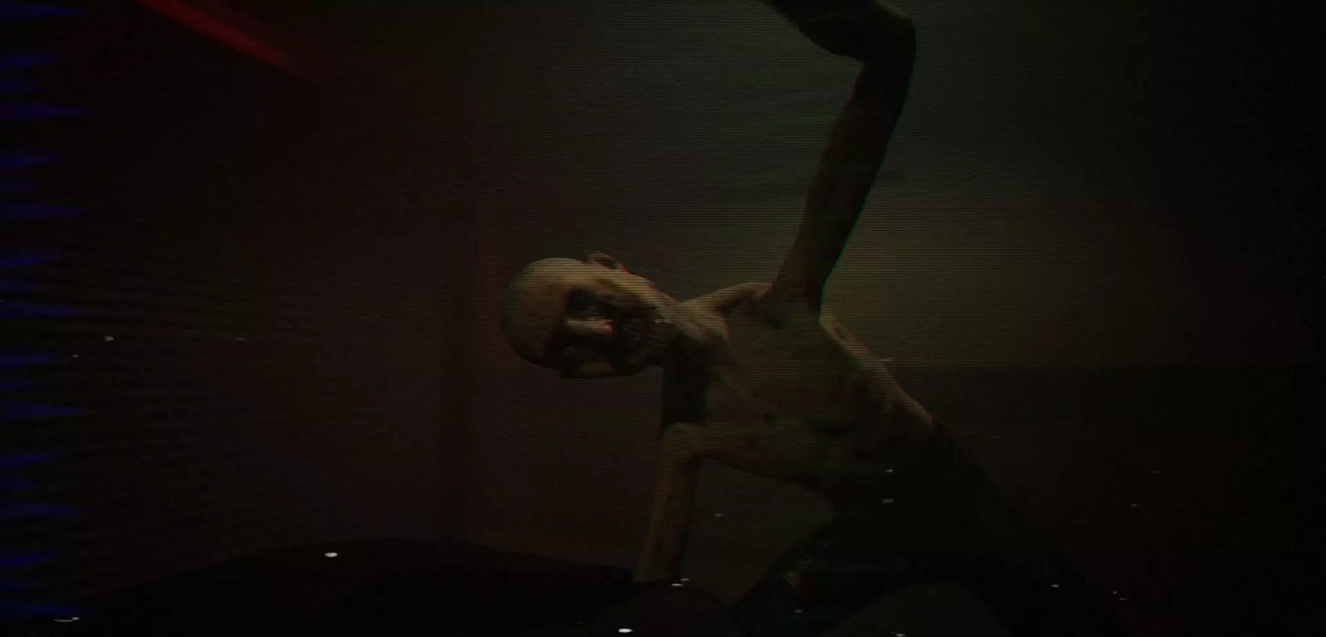 PROJECT 13 Perception Test