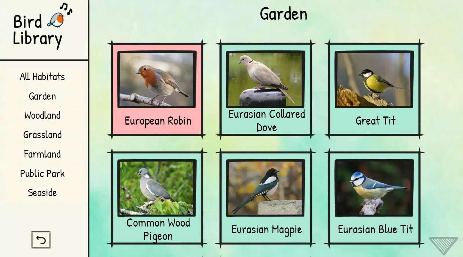 -BirdLingo: A birdsong learning game-游戏截图-好玩游戏库