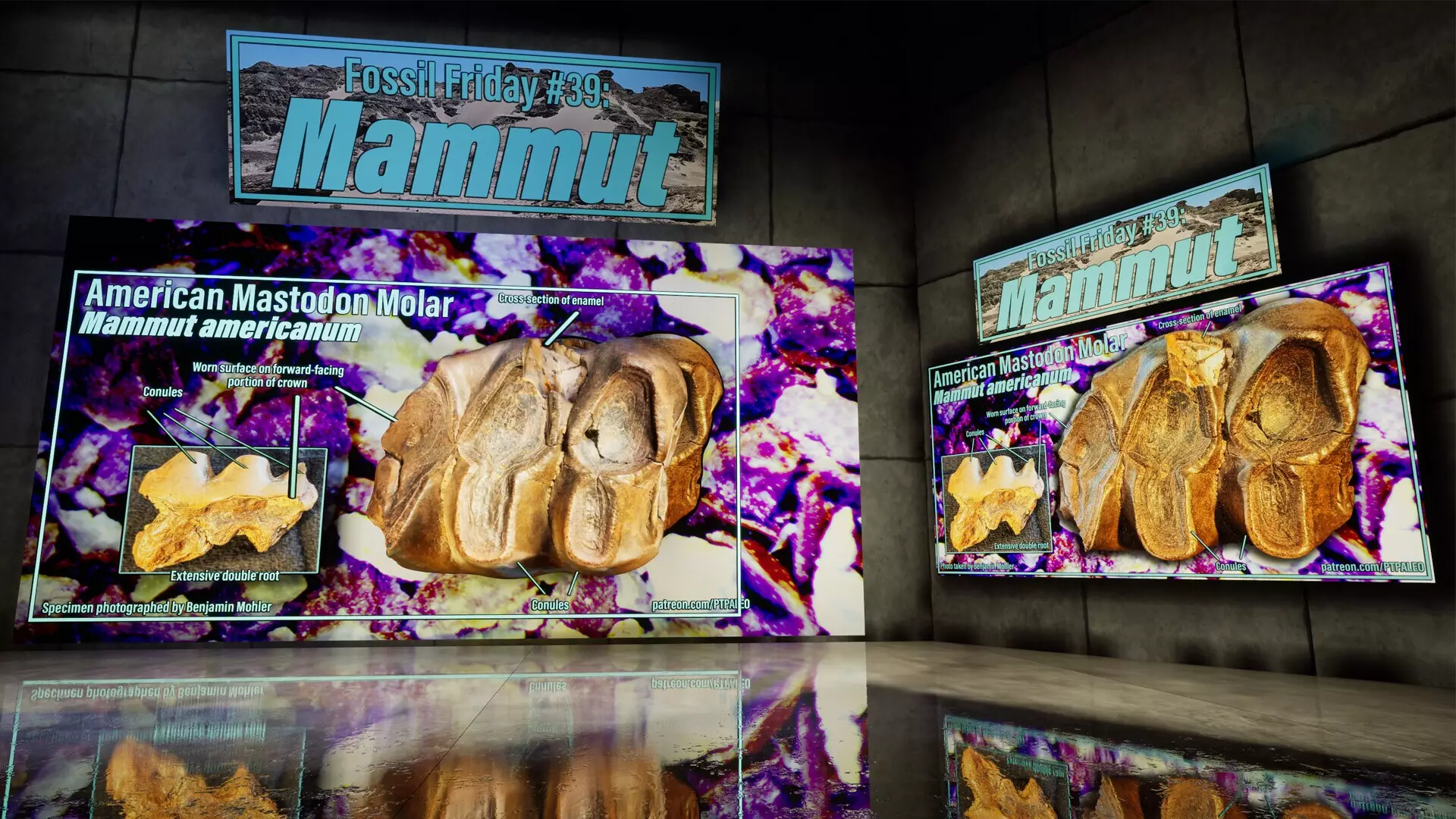 -SHADOWBOX: Mausoleum of Natural History-游戏截图-好玩游戏库