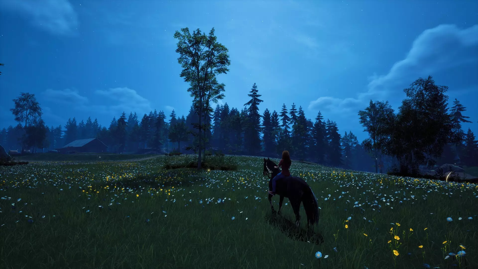 -Windstorm: Start of a Great Friendship - Remastered-游戏截图-好玩游戏库