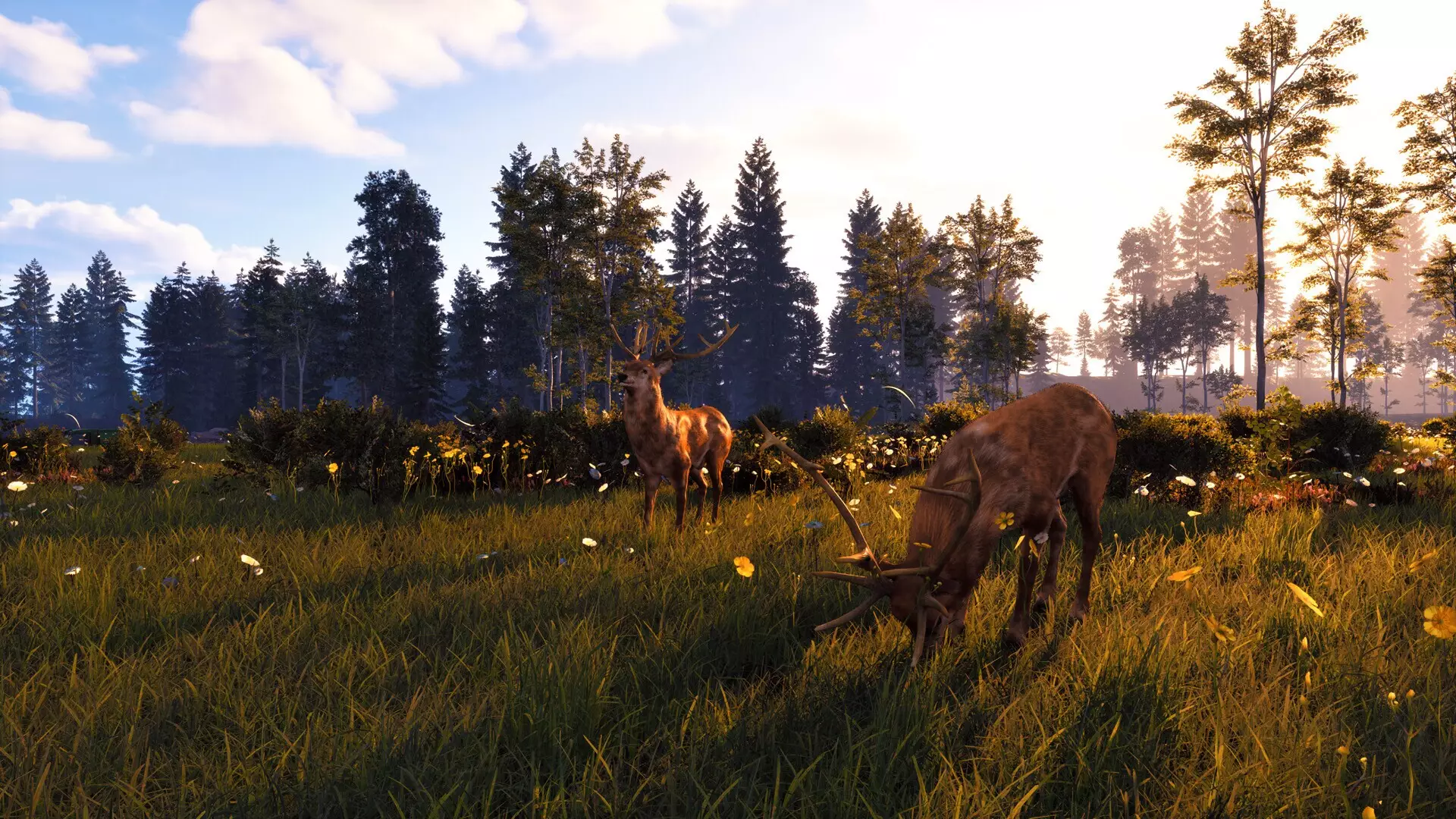 -Windstorm: Start of a Great Friendship - Remastered-游戏截图-好玩游戏库