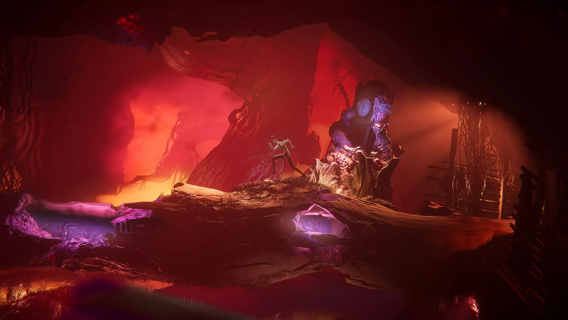 -The Last Case of Benedict Fox-游戏截图-好玩游戏库