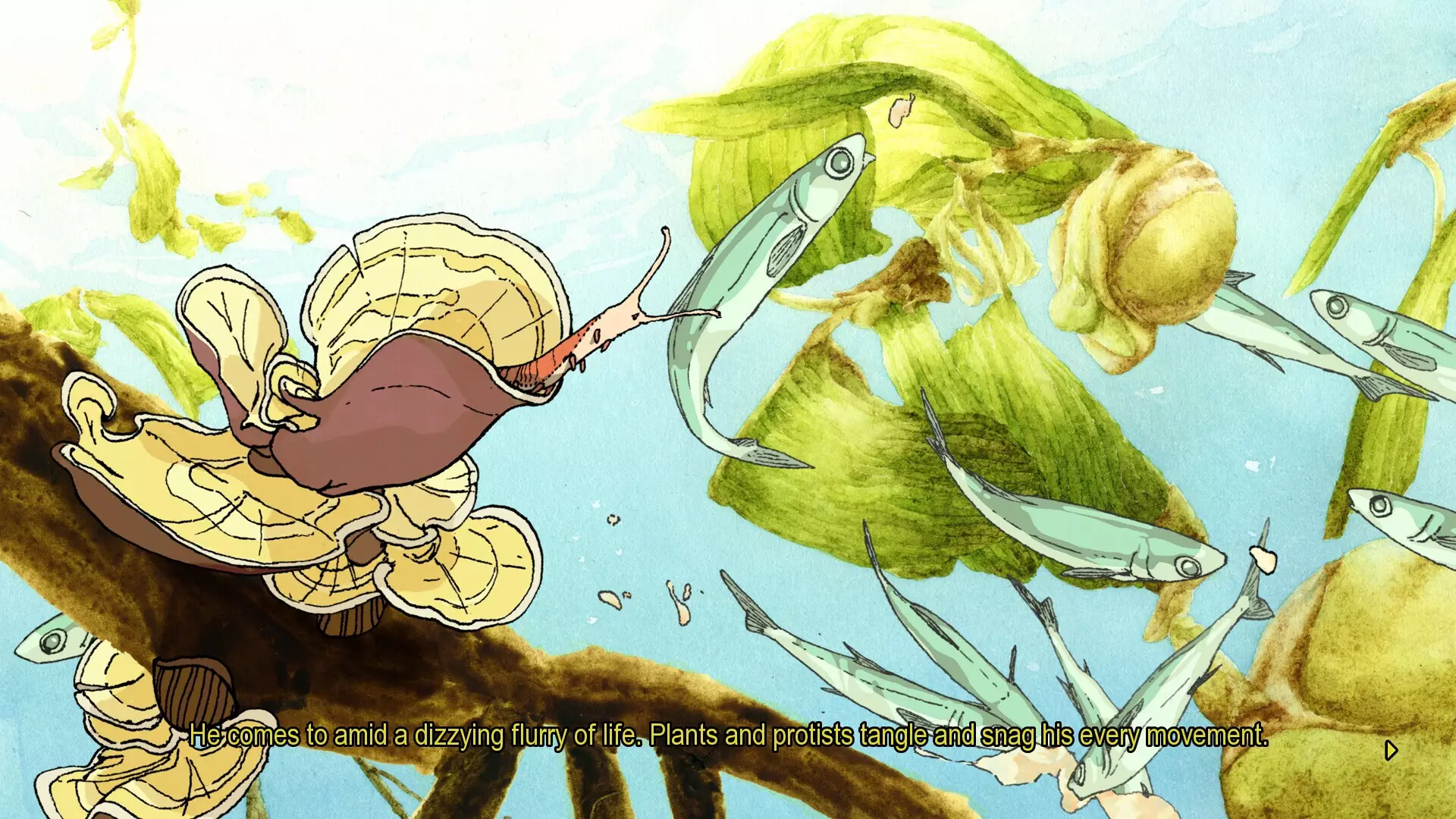 -South Scrimshaw, Part One-游戏截图-好玩游戏库