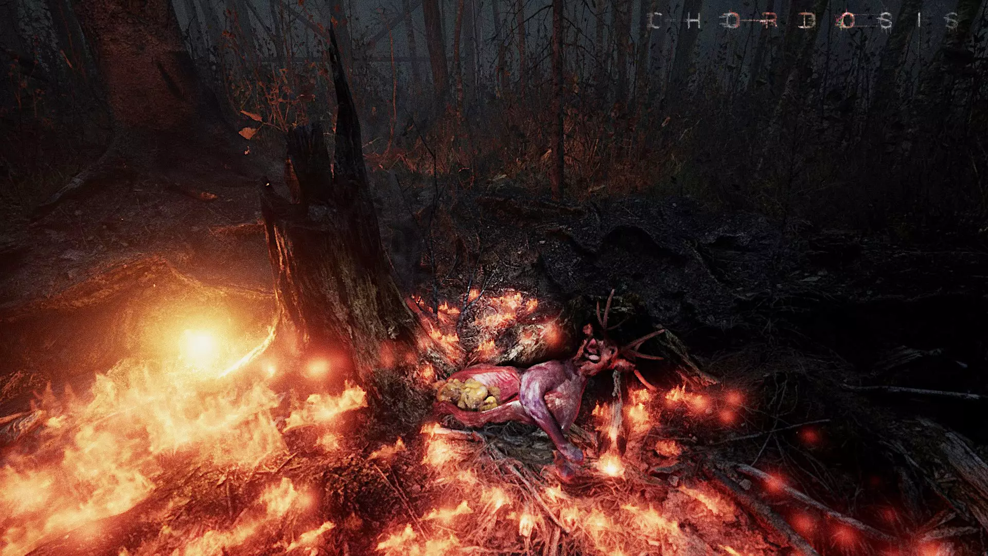 -CHORDOSIS-游戏截图-好玩游戏库