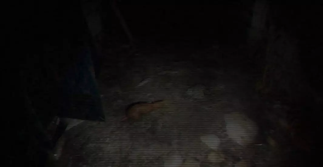 恐怖の館 THE TERROR HOUSE – Tape#01