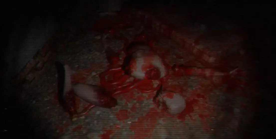 -恐怖の館 THE TERROR HOUSE - Tape#01-游戏截图-好玩游戏库