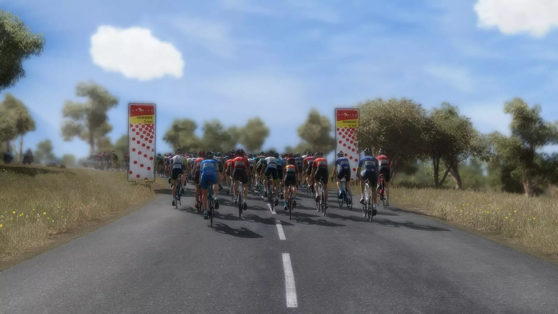 -Pro Cycling Manager 2023-游戏截图-好玩游戏库