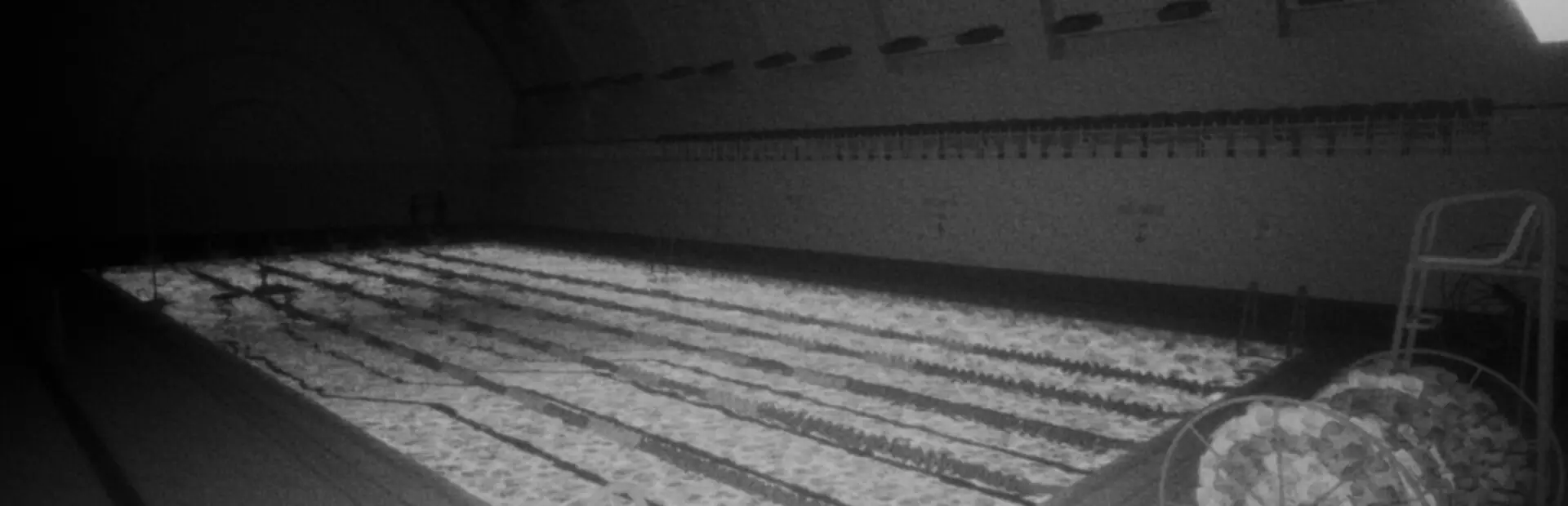 上午八点:游泳池