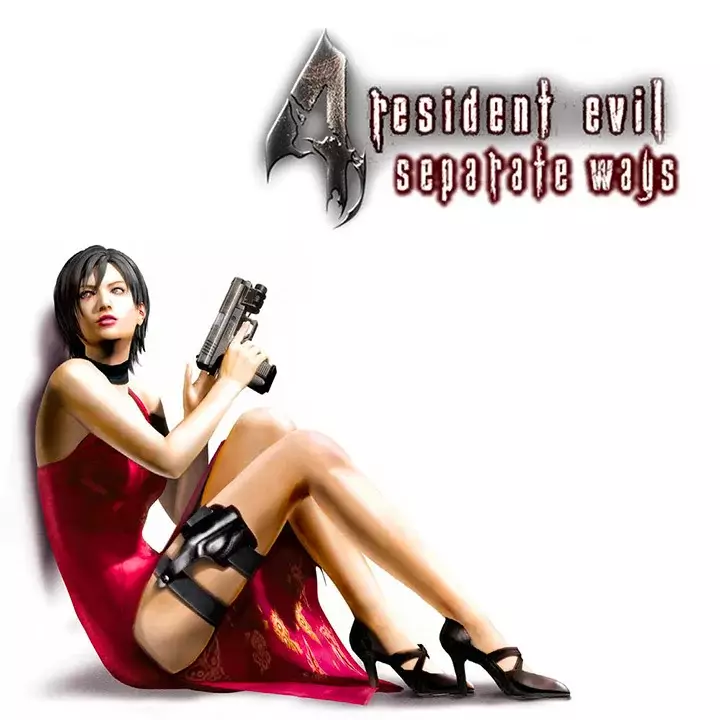 生化危机 4：殊途密令