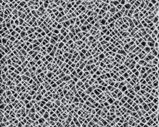 -Trail Agents #Exp 6-游戏截图-好玩游戏库