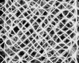 -Trail Agents #Exp 6-游戏截图-好玩游戏库