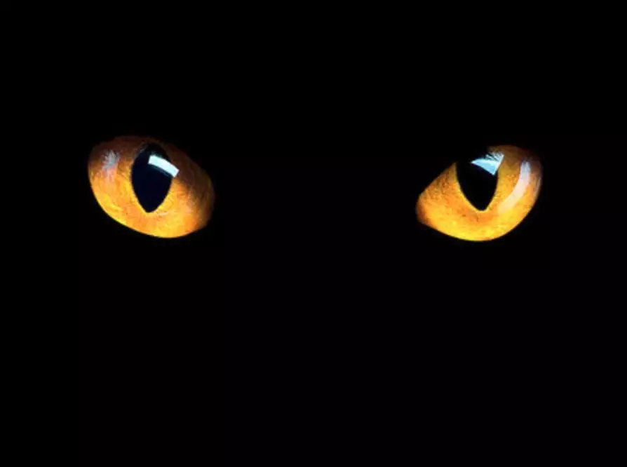 ESA (USM Game Studies, mmpress)