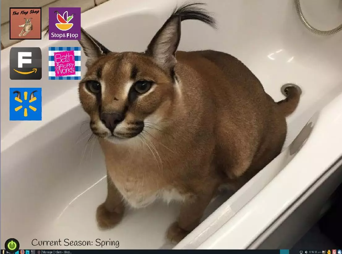 -Big Floppa The Game 3-游戏截图-好玩游戏库