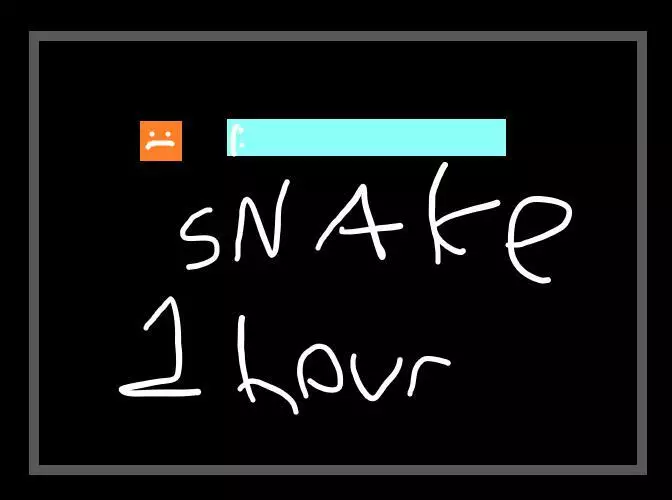 Snake Made in an Hour