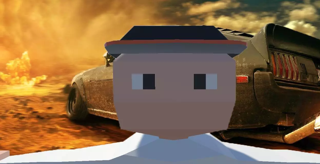 first test with ragdolls