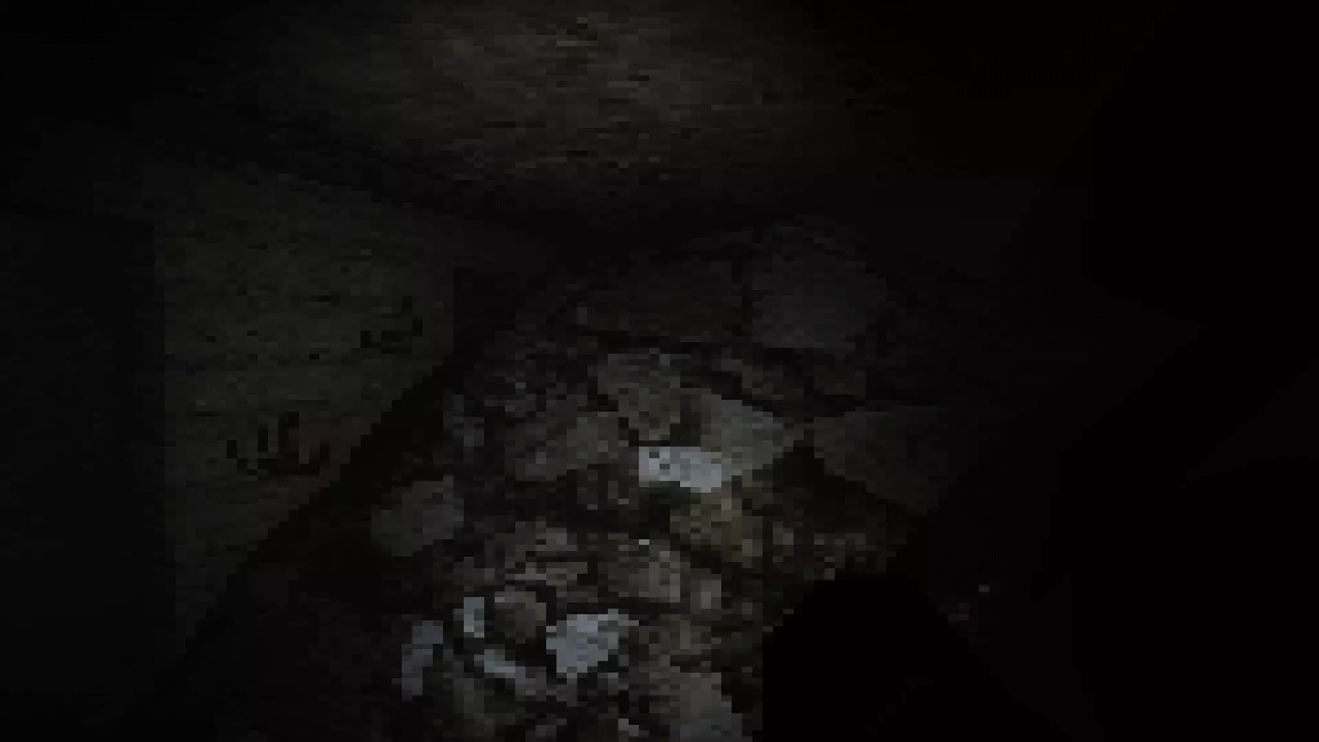 -Burried in the bunker-游戏截图-好玩游戏库