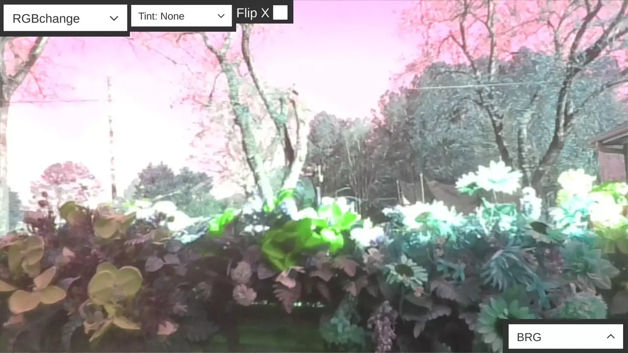 -Color Filterer-游戏截图-好玩游戏库