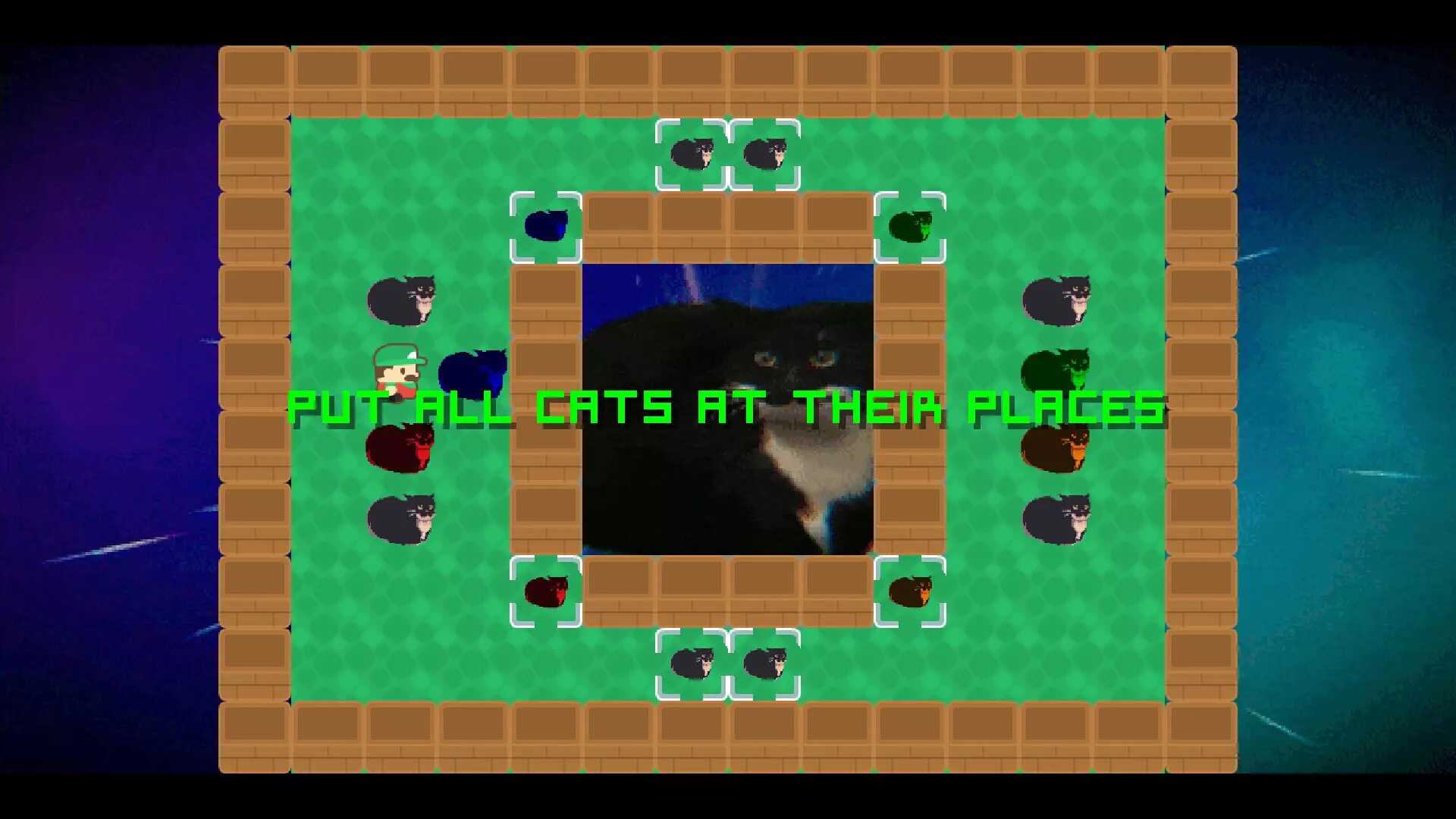 -Push That Cat!!-游戏截图-好玩游戏库